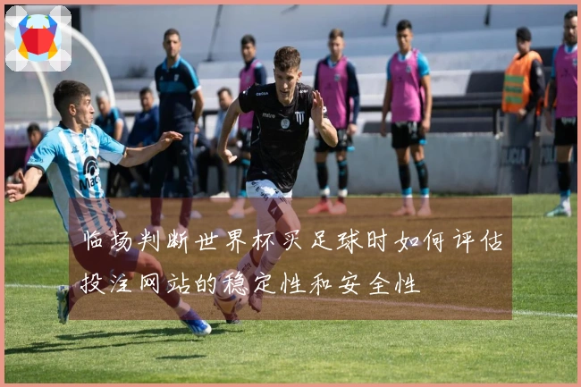 临场判断世界杯买足球时如何评估投注网站的稳定性和安全性