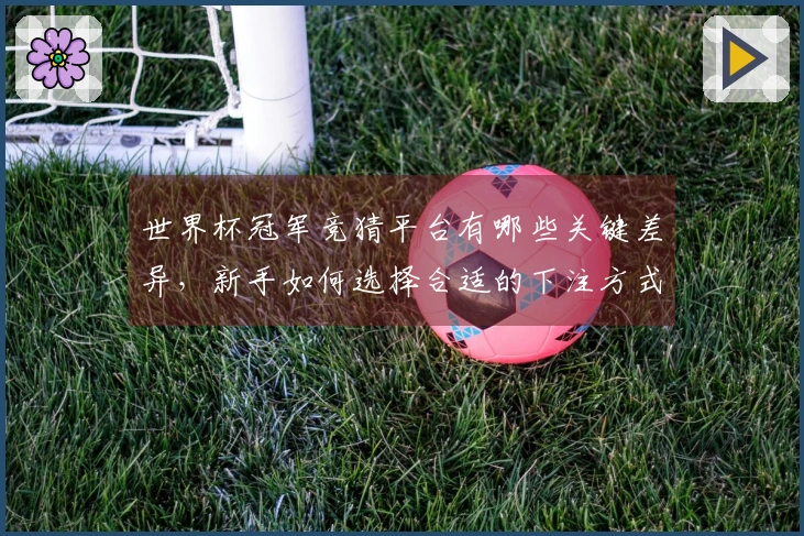 世界杯冠军竞猜平台有哪些关键差异，新手如何选择合适的下注方式？