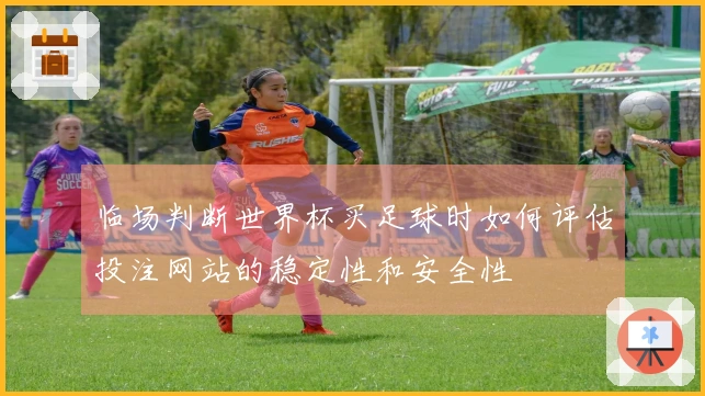 临场判断世界杯买足球时如何评估投注网站的稳定性和安全性