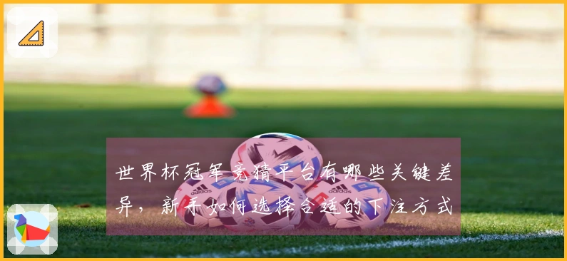 世界杯冠军竞猜平台有哪些关键差异，新手如何选择合适的下注方式？
