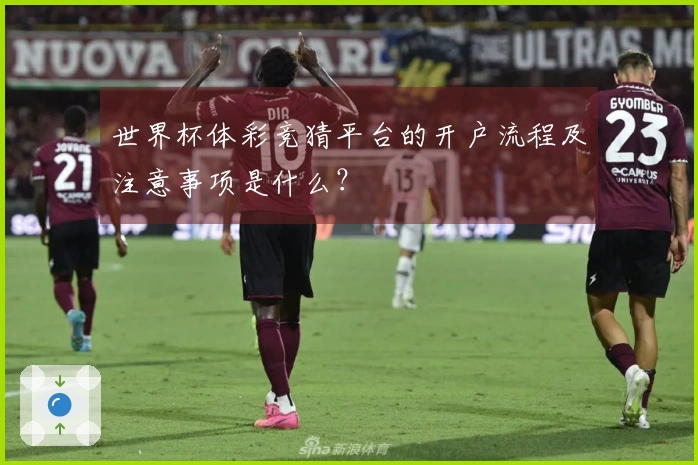 世界杯体彩竞猜平台的开户流程及注意事项是什么？